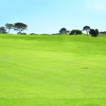 Campo de golfe    Foto: divulgação