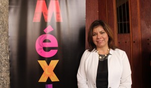 México divulga lua de mel, turismo de luxo e eventos em workshop no RJ; veja fotos