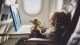 IndiGo cria medida que proíbe crianças em determinadas fileiras da aeronave; entenda