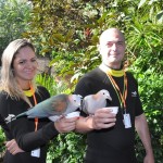 Danielle Alves, da MMT Gapnet, e Alexandre Antonielli, da Visual Turismo, alimentam pássaros no Discovery Cove