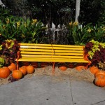 Decoração de Halloween ainda pode ser vista em alguns espaços do parque