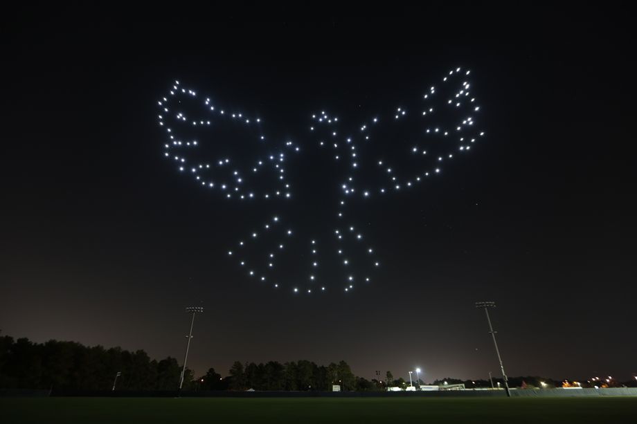 Walt Disney World Resort ganha show diário de luzes realizado por 300 drones Dove_Starbright_Holidays.0