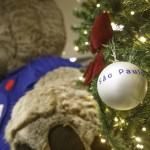 Decoração de Natal da Latam em Congonhas Decoração de Natal da Latam em Congonhas