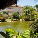 Natureza presente no resort
