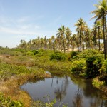 O caminho até a praia é contemplado com esta vista