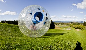 Nova Zelândia com crianças: conheça sete atrações