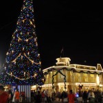 Parque já começa decoração de Natal Parque já começa decoração de Natal
