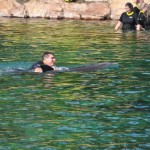 Patrick Yvars, do Visit Orlando, em sua primeira experiência com os golfinhos do Discovery Cove Patrick Yvars, do Visit Orlando, em sua primeira experiência com os golfinhos do Discovery Cove