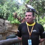 Ricardo Bezerra da Silva, da Azul Viagens torcendo para o pássaro ficar quietinho