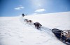 Confira 5 atividades de inverno inusitadas na Noruega