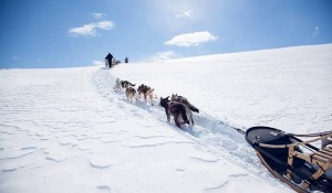 Confira 5 atividades de inverno inusitadas na Noruega