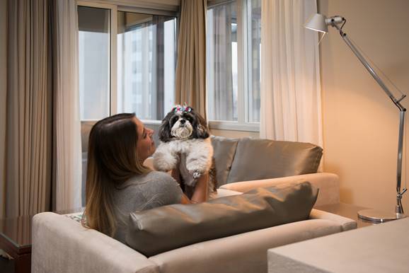 Vai viajar com seu pet? Prodigy Berrini agora é pet friendly Raças de pequeno porte já podem se hospedar no Prodigy Berrini