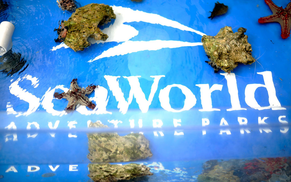 SeaWorld registra prejuízo líquido de US$ 105 milhões no 2º trimestre 1 turtle-exhibit-SEAWORLD1216