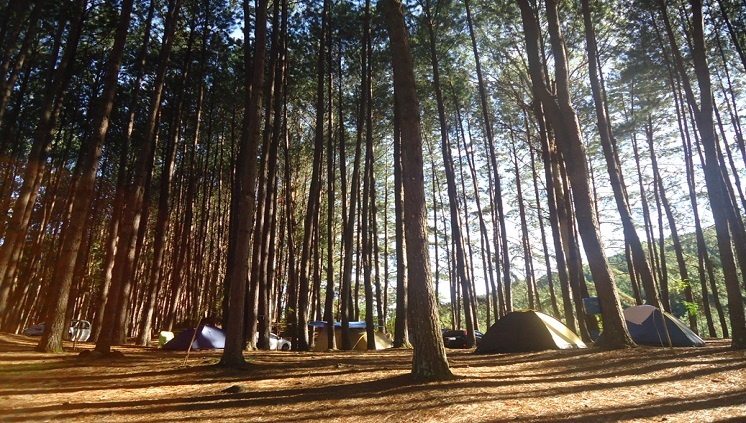 Cadastur já conta com 58 mil estabelecimentos 1 Acampamentos turísticos tiveram crescimento de 42% - Crédito: Divulgação/Parque da Cachoeira