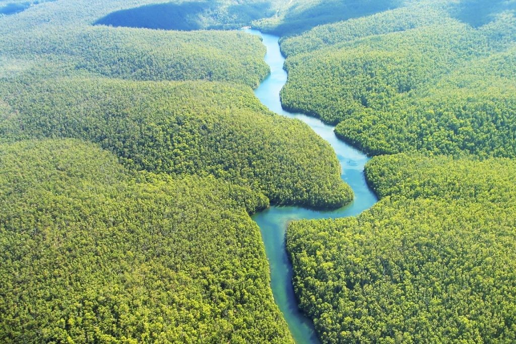 FBHA dá dicas de roteiros turísticos pelo Brasil 2 Amazônia-1024x683