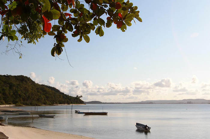 Praias da Bahia podem ganhar selo Bandeira Azul Praia Bandeira Azul Bahia