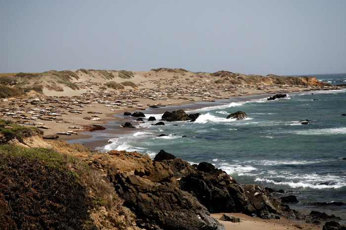 Sete atrações para curtir ao ar livre na Califórnia Malibu, Robert H. Meyer Memorial State Beach, La Piedra State Beach