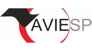 Associada Aviesp tem curso online sobre acessibilidade