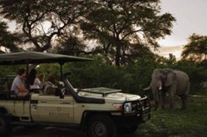 Luxo e aventura se fundem em experiência Belmond da África do Sul Safári é parte final do roteiro.