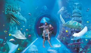 Aquário Sea Life em Orlando oferece tour pelos bastidores