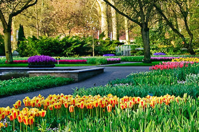 9 passeios ao ar livre em Amsterdam 1 Amsterdam