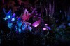 Disney inaugura The World of Avatar neste sábado (27); veja curiosidades da nova atração