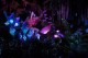 Disney inaugura The World of Avatar neste sábado (27); veja curiosidades da nova atração