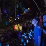 A floresta luminescente é uma das atrações da nova área