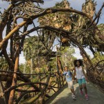 Animal Kingdom fica aberto até mais tarde para atrações noturnas e para nova área de Pandora