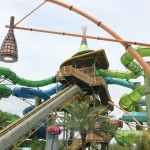 Taniwha Tubes