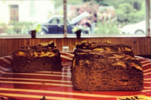 7 atividades para fazer em Tampa brownie