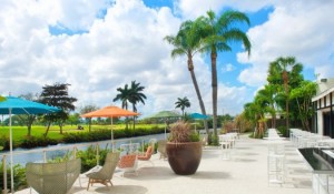 Hotelaria anuncia novidades em Miami durante mês de maio; veja