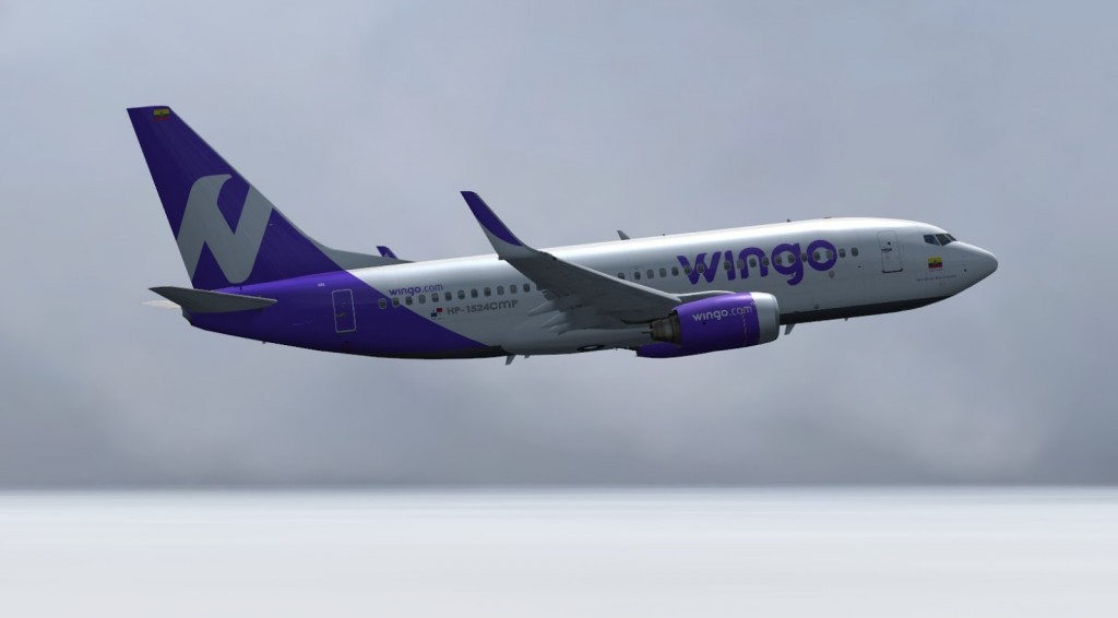 Boeing 737-700 Wingo (3)