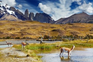 CHILE