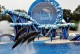 Busch Gardens e SeaWorld têm novos shows; veja fotos