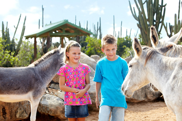 10 dicas para aproveitar Aruba em família Donkey Sanctuary_ Kids at Donkey Sanctuary v2