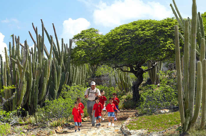 10 dicas para aproveitar Aruba em família Kids With Park Ranger Getting Tour at Arikok v2