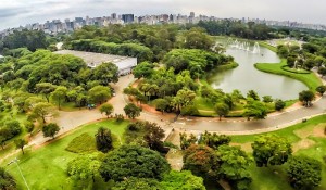 Parque do Ibirapuera recebe mais de 11 mil pessoas no primeiro dia de reabertura