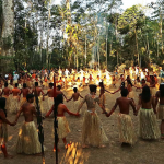 Os roteiros envolvem experiências imersivas na Amazônia. 
