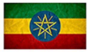 Etiópia lança serviço de emissão online de visto
