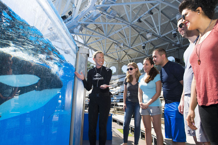 4 tours interativos para incrementar sua visita ao SeaWorld 20170526_KWUpClose_020