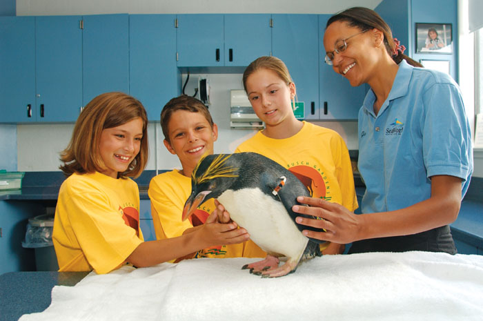 4 tours interativos para incrementar sua visita ao SeaWorld Animal interaction with penguin (1) alta