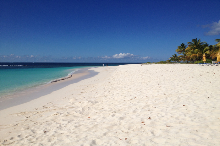 Anguilla programa reabertura total para turistas em novembro 1 A limpeza e recuperação de estradas e praias da ilha estão em ritmo acelerado, e as comunicações por telefone e internet foram restauradas em grande parte do território