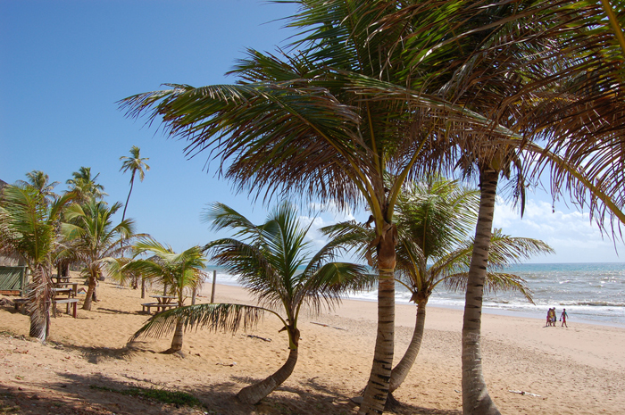 Apenas 17% dos brasileiros já planejaram as férias de verão, diz Booking.com 1 Praias nordestinas estão entre os destinos preferidos dos brasileiros no verão