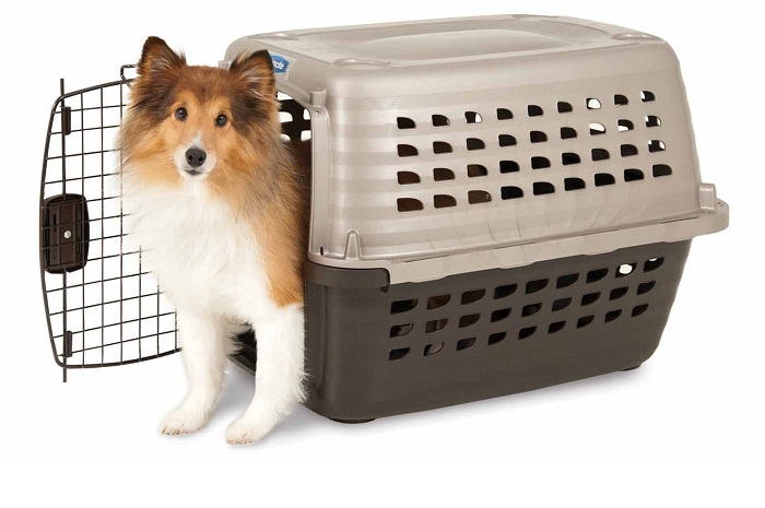 Bagagens: veja por onde passam as malas despachadas 7 Os cães de grande porte, que não possuem autorização especial para irem nas cabines, devem ser despachados em caixotes de grades