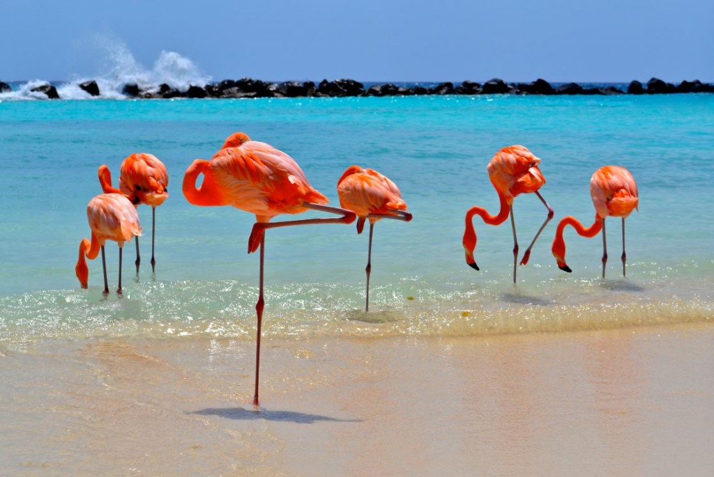 Aruba amplia zonas de Wi-Fi livre Aruba !