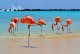 Coronavírus: Aruba prolonga suspensão de viagens até o fim de maio
