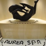 Entrada do SPA