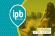IPB tem pacotes promocionais de intercâmbio durante a Black Friday