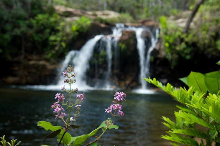 Parque Nacional da Chapada dos Guimarães (Foto: Embratur)